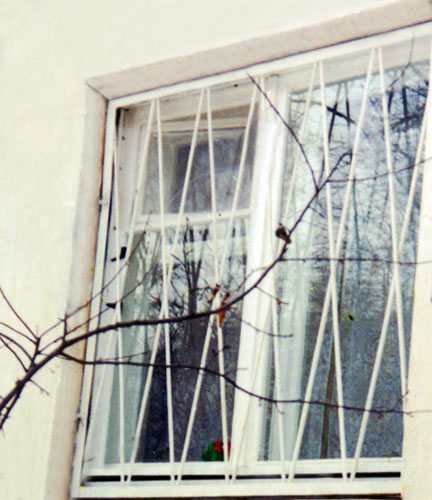 Решётки на окна модель №3