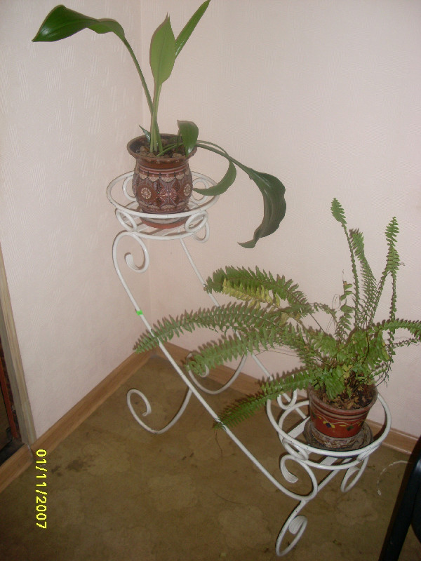 Цветочница комнатная для 2-ух растений